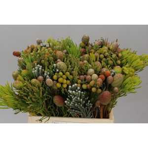 Kaaps Cone Mix