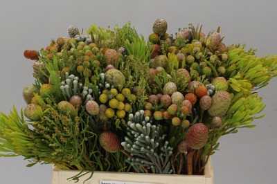 Kaaps Cone Mix