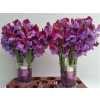 Lathyrus Barcelona Wedding