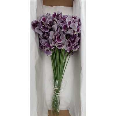 Lathyrus Blue Wedding Box