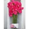 Lathyrus Cerise Box