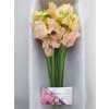 Lathyrus Champagne Box