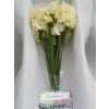 Lathyrus Cream Box