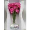 Lathyrus Hot Pink Box