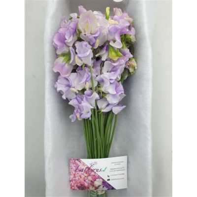 Lathyrus Lavender Wedding Box