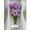 Lathyrus Lilac Box