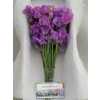 Lathyrus Mauve Box