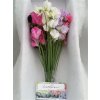 Lathyrus Mixed Box