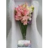 Lathyrus Mixed Pastel Box