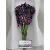 Lathyrus Purple Box