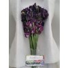 Lathyrus Purple Box