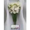 Lathyrus White Box