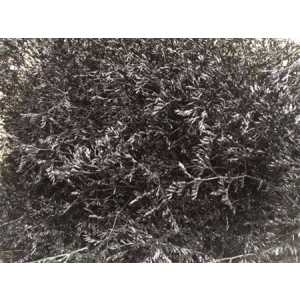 Lim Beltaard Black