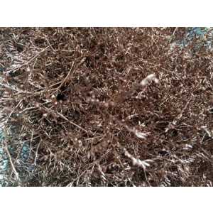 Lim Beltaard Copper