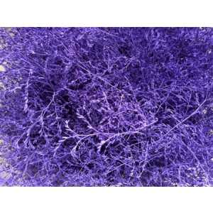 Lim Beltaard Purple