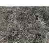 Lim Beltaard Silver