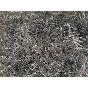 Lim Beltaard Silver