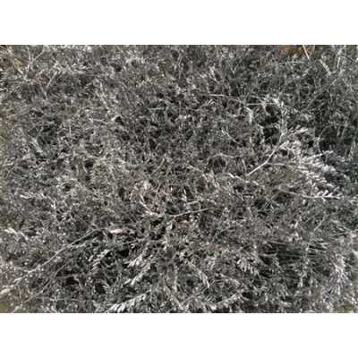 Lim Beltaard Silver