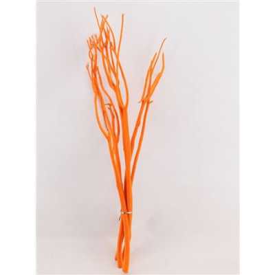 Mitsumata Orange Per Bos