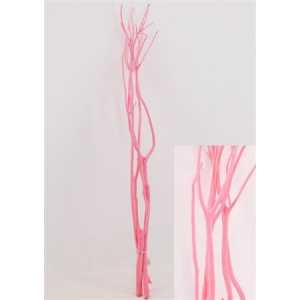 Mitsumata Pink Per Bos