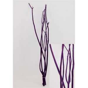 Mitsumata Purple Per Bos