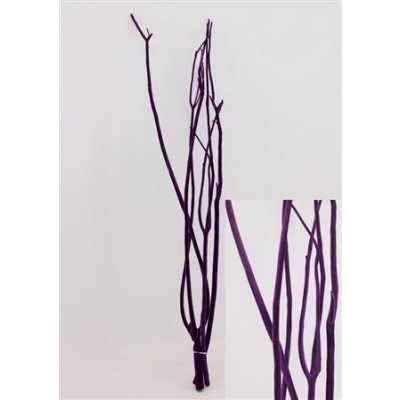 Mitsumata Purple Per Bos