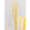 Mitsumata Yellow Per Bos