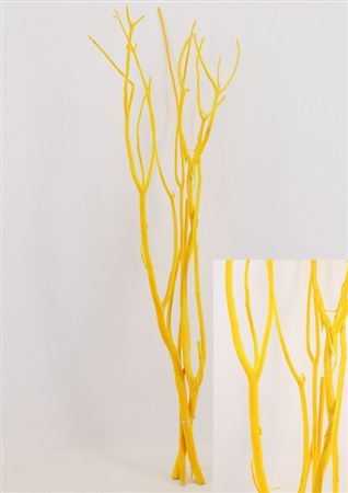 Mitsumata Yellow Per Bos