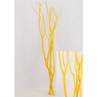 Mitsumata Yellow Per Bos