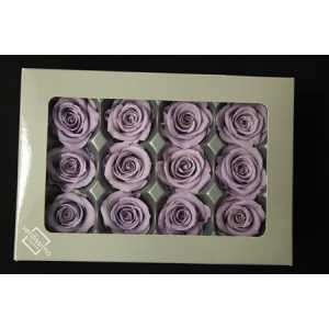 R Pr (mini) Lilac