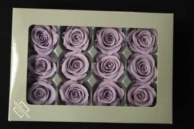 R Pr (mini) Lilac