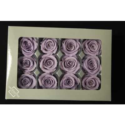 R Pr (mini) Lilac