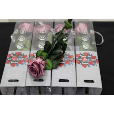 R Pr On Stem 27cm Lilac X5