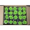 R Pr On Stem 55cm Lime Green