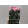 R Pr On Stem 55cm Pastel Pink X5