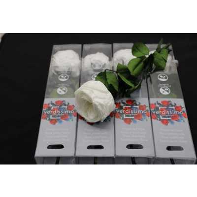 R Pr On Stem Garden 27cm White X5