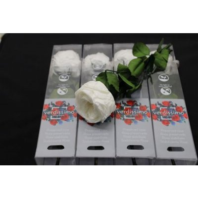 R Pr On Stem Garden 27cm White X5