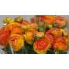 Ranunculus Orange Stripe