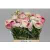 Ranunculus Picotee Pink Ex