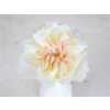 Rosa Gr Austin Eugenie