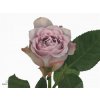 Rosa Gr Dancing Clouds