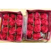 Rosa Gr Ec Cherry O!