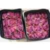 Rosa Gr Ec Cool Water