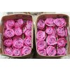 Rosa Gr Ec Moody Blues