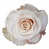 Rosa Gr Gar Cafe