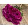 Rosa Gr Gar Mammy Blu