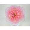 Rosa Gr Gar Mayra Pink