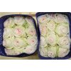 Rosa Gr Gar White O Hara