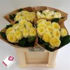 Rosa Gr Gar White Vuvuzela