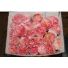 Rosa Gr Scented Princes Charlene